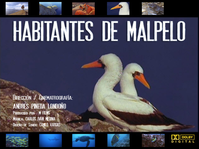 documental ambiental sobre la Isla de Malpelo en Colombia